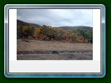 scan20060001