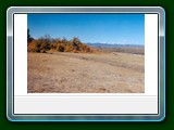 scan20060002