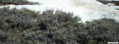 2012-03-31_12-19-24_422