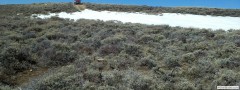 2012-03-31_12-19-36_19